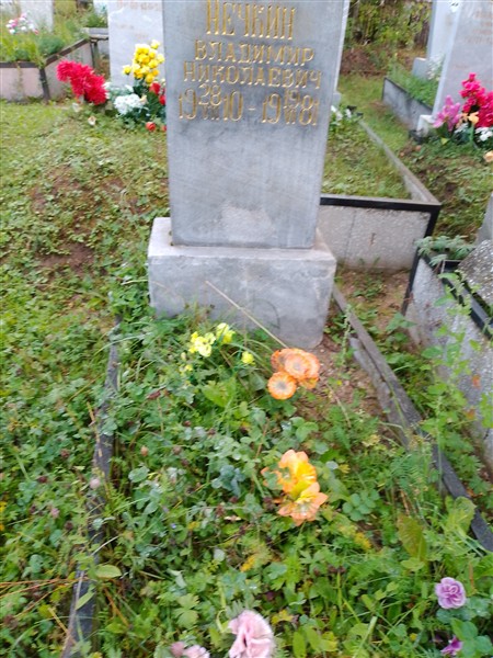 Нечкин Владимир Николаевич