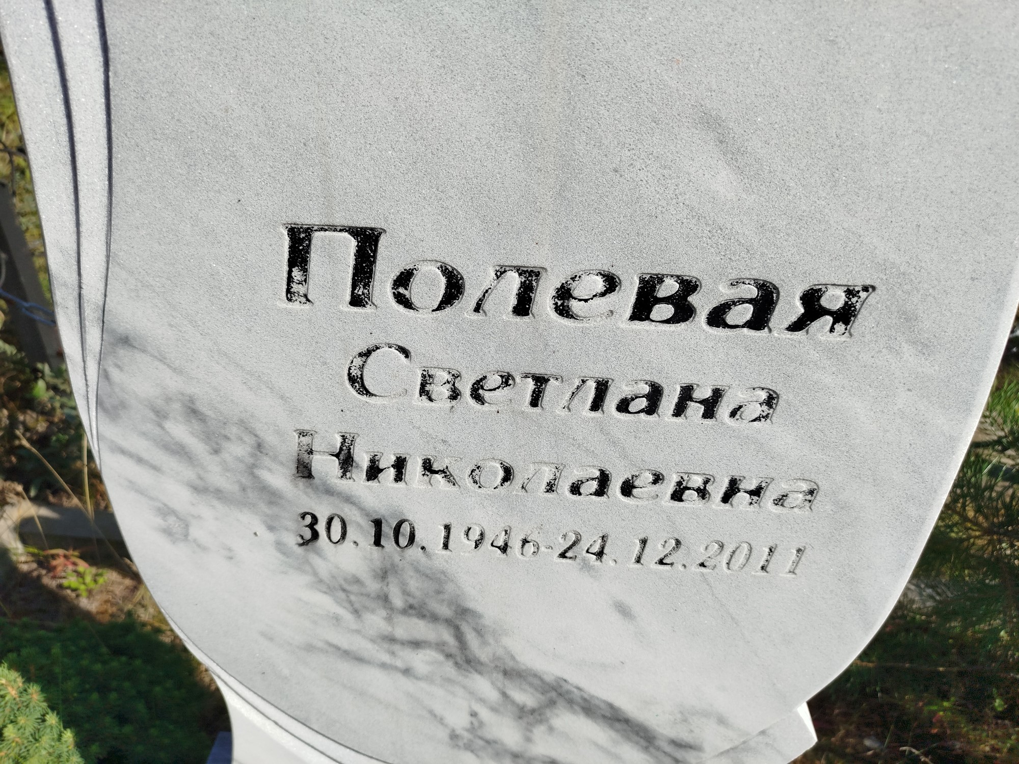 Полевая Светлана Николаевна