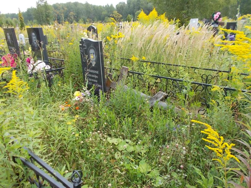 Слепанова Александра Сергеевна