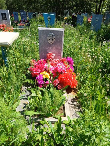 Ударцев Пётр Васильевич