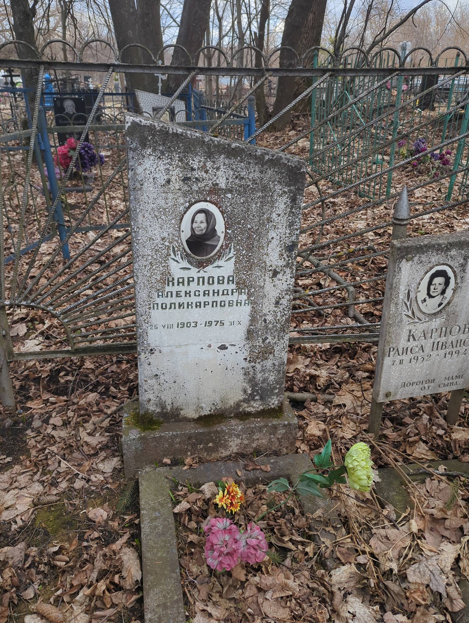 Карпова Александра Поликарповна