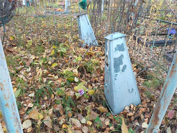 Ромашкевич Анна Емельяновна
