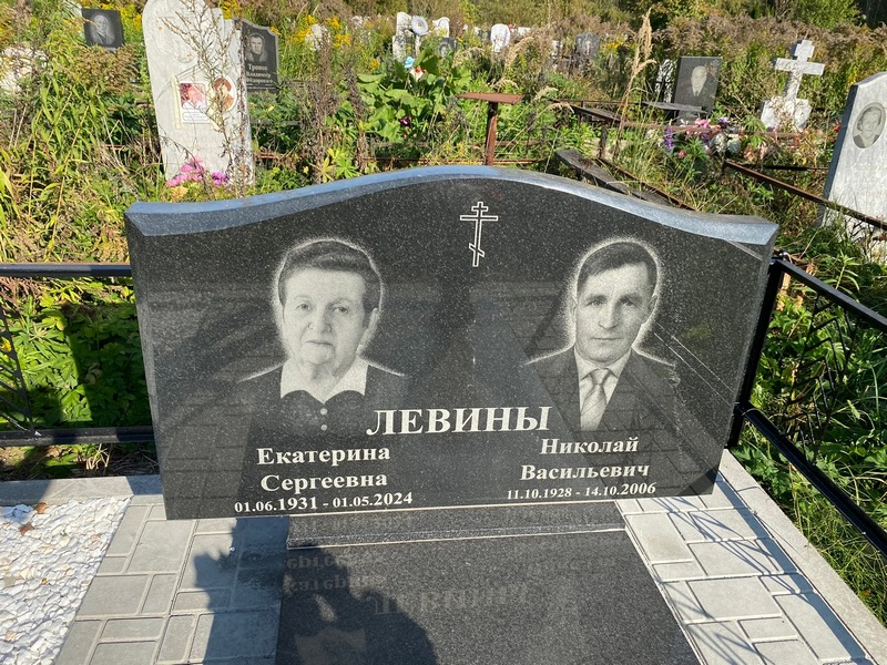Левин