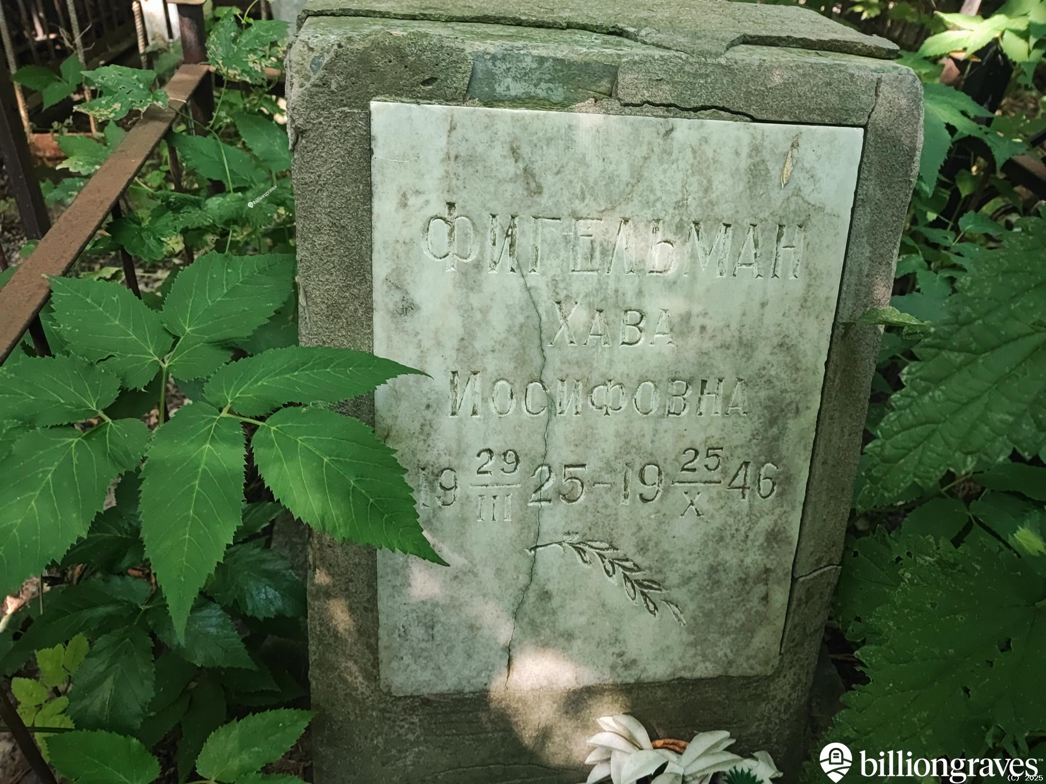 Фигельман Хава Иосифовна