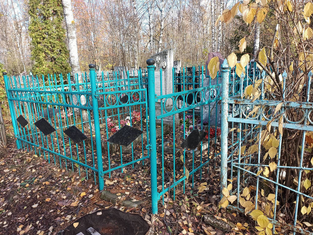 Демичев Владимир Николаевич