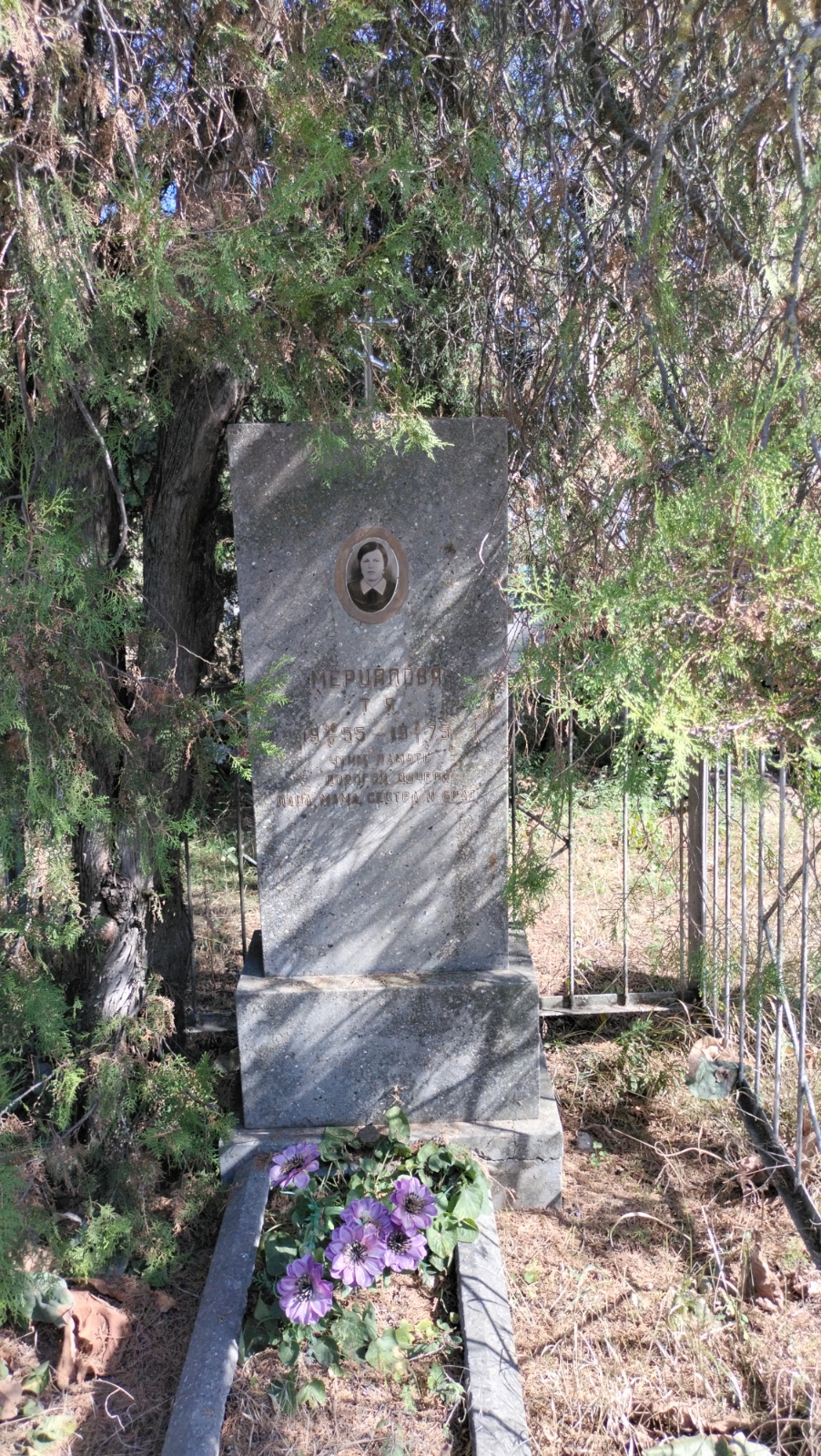 Мерцалова Т. Я.