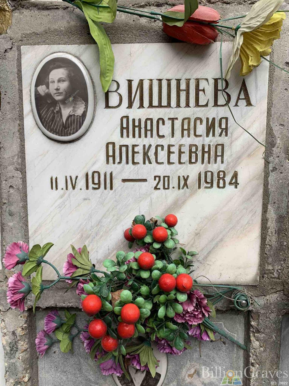 Вишнева Анастасия Алексеевна