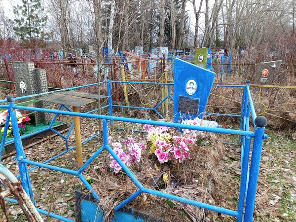 Машарова Анастасия Александровна
