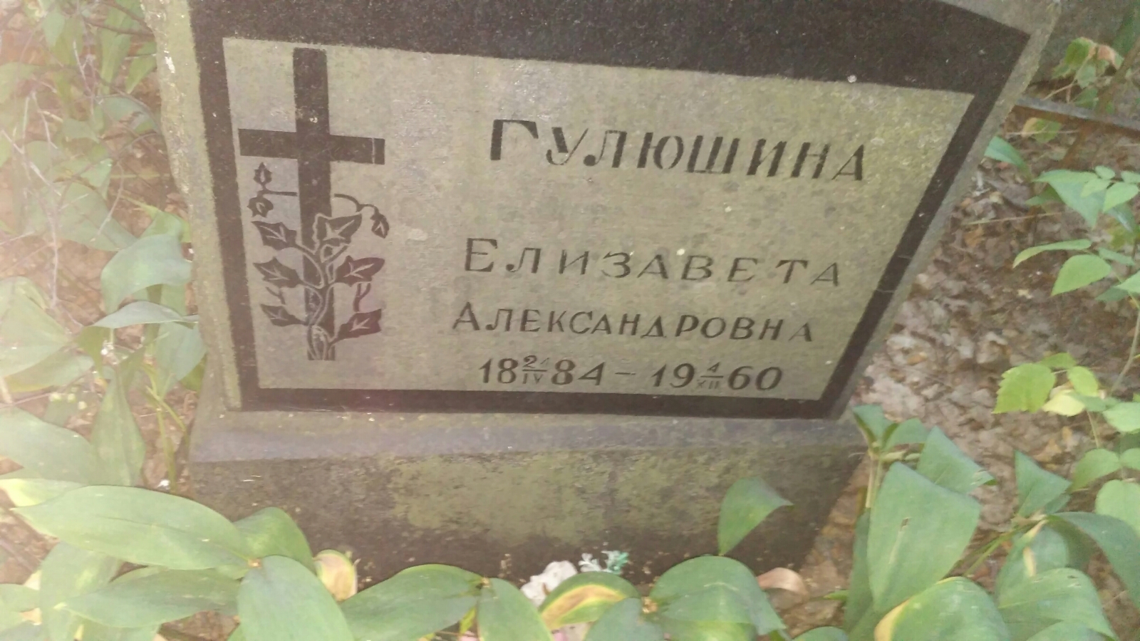 Гулюшина Елизавета Александровна