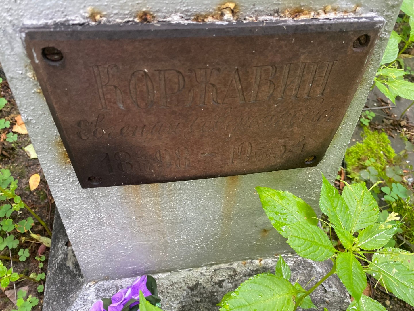 Коржавин Коржавин