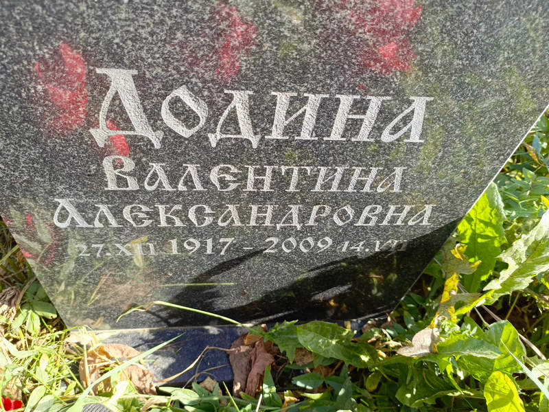 Додина