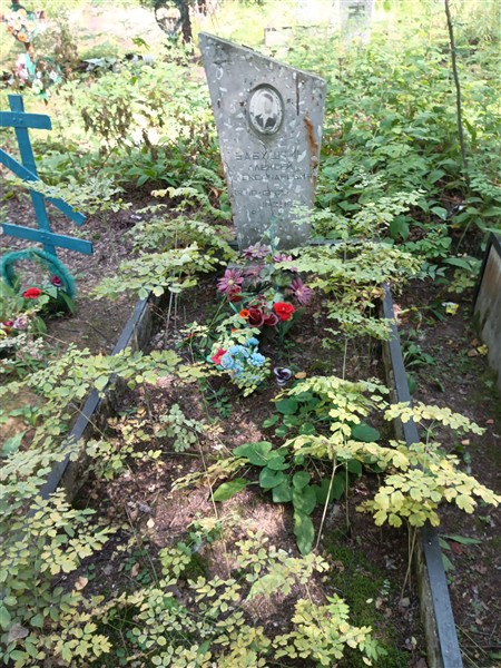 Бабушкин Алексей Александрович