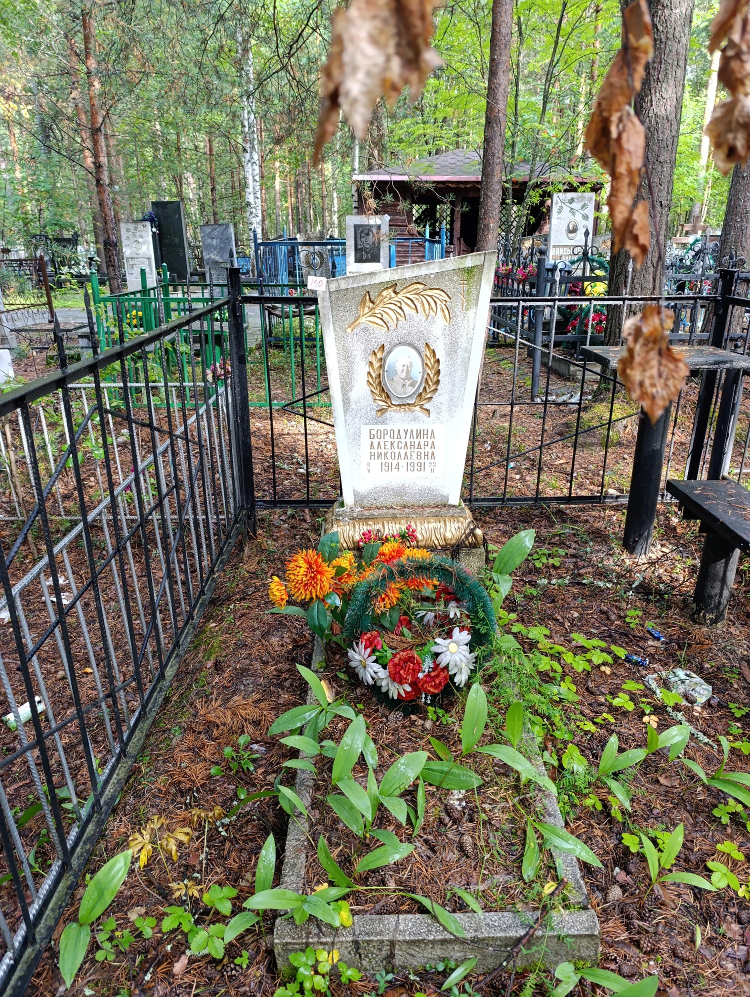 Бородулина Александра Николаевна
