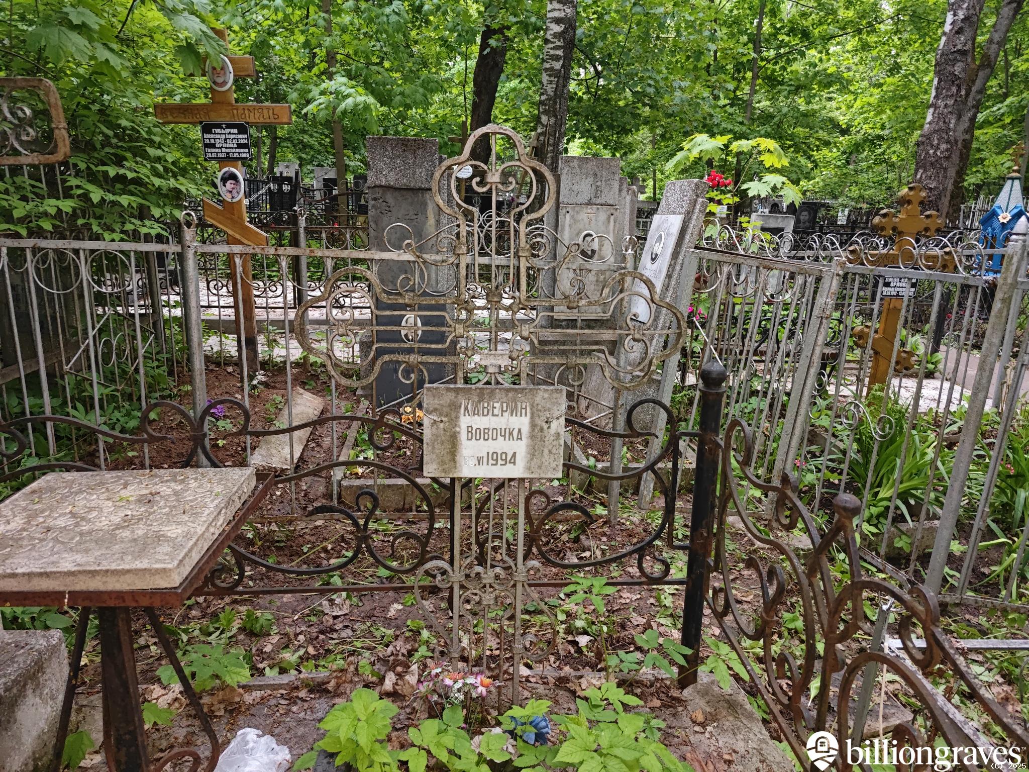 Каверин Вовочка