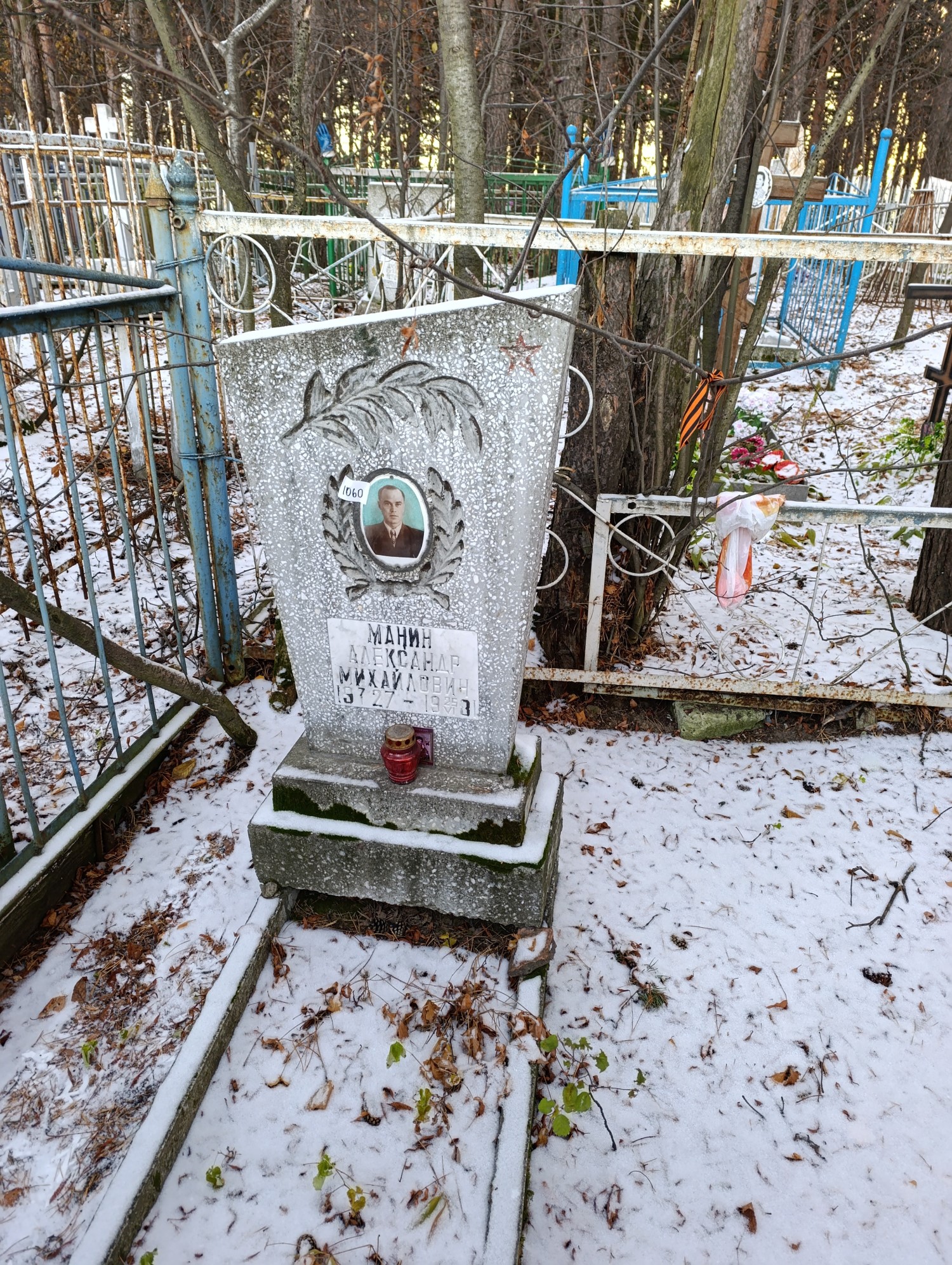 Манин Александр Михайлович
