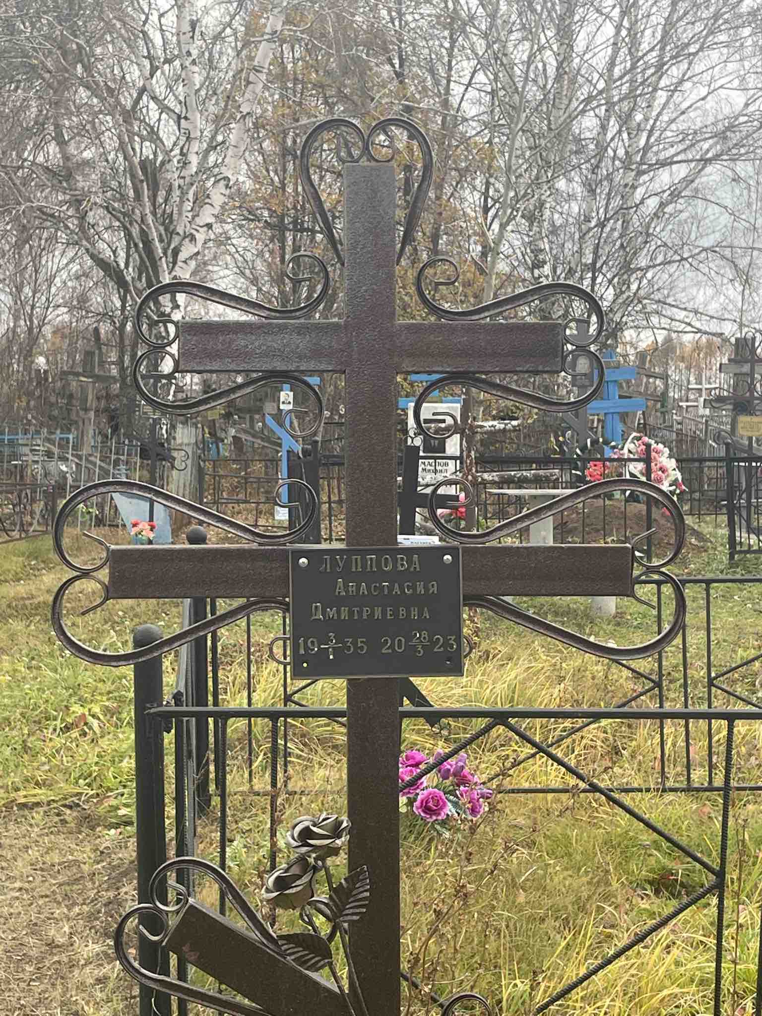 Луппова Анастасия Дмитриевна