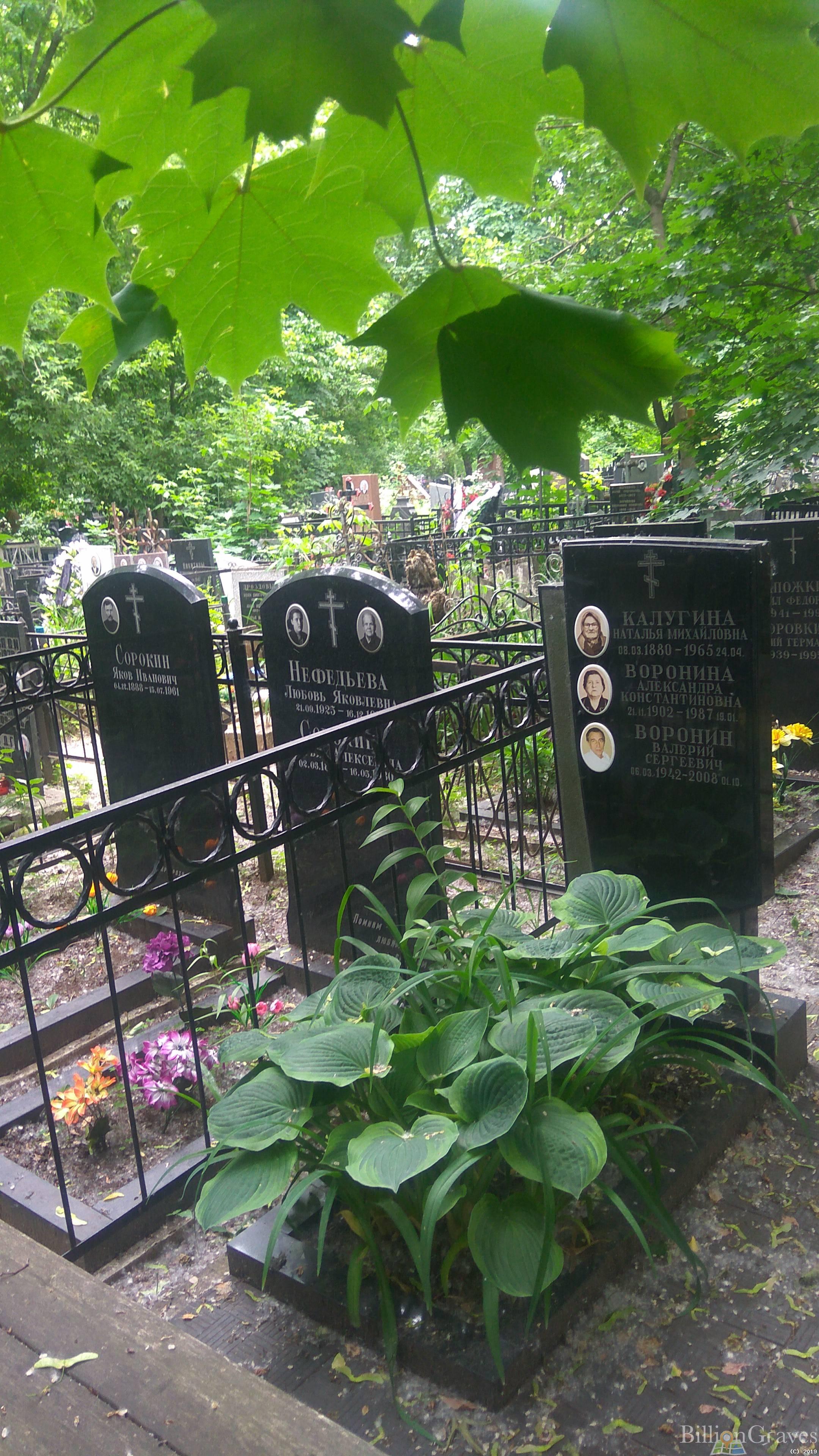 Воронина Александра Константиновна