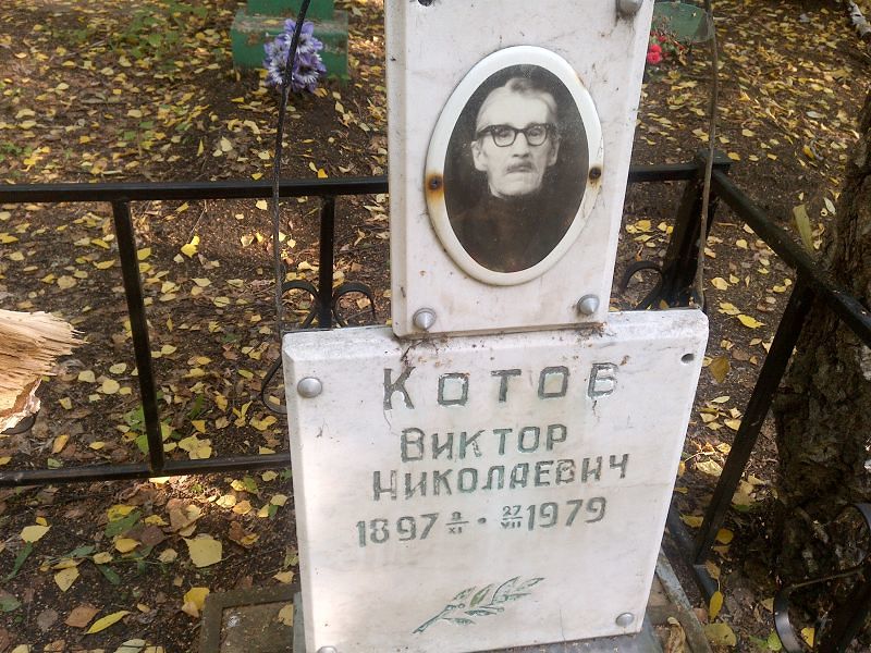 Котов