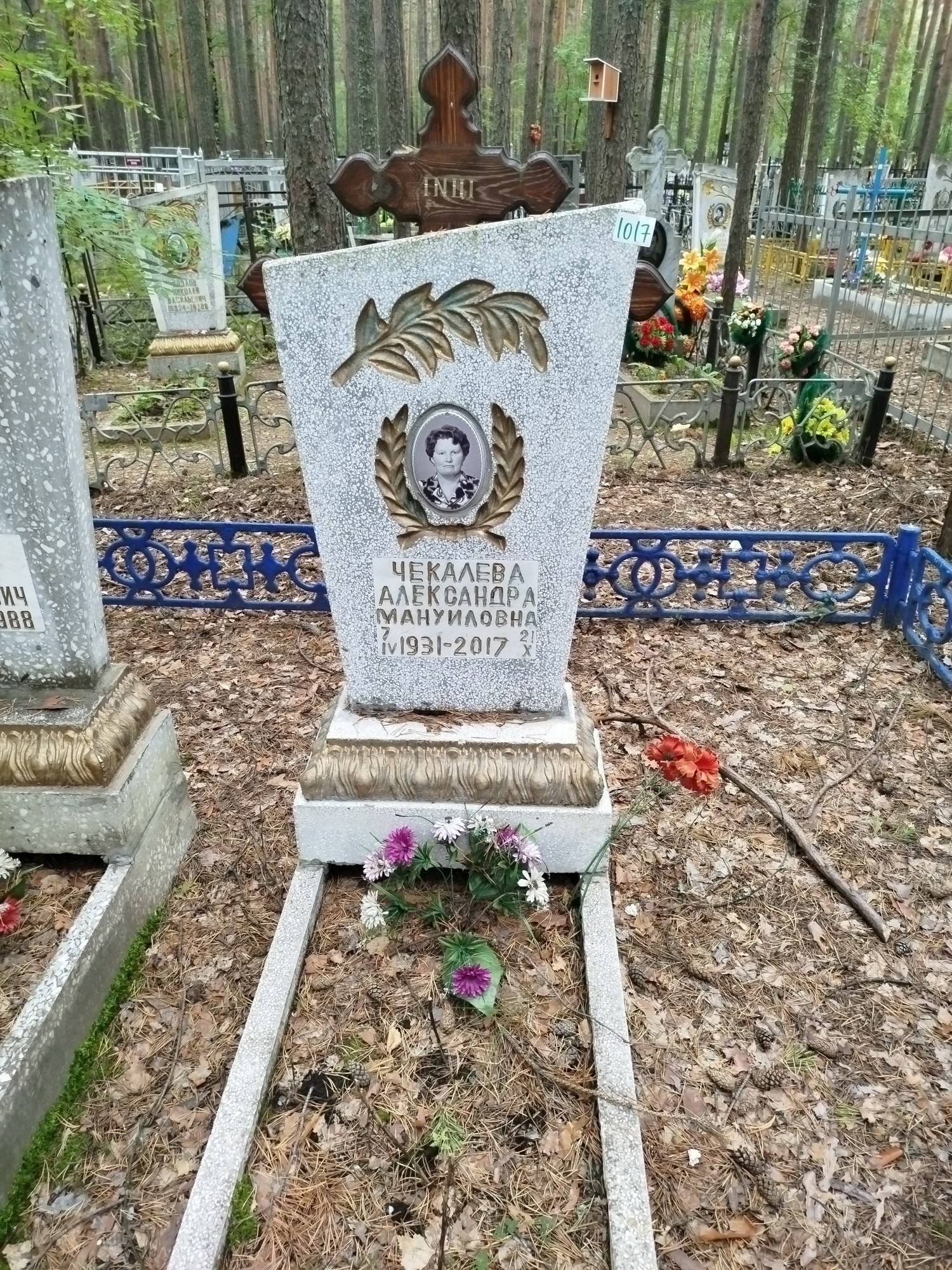 Чекалева Александра Мануиловна