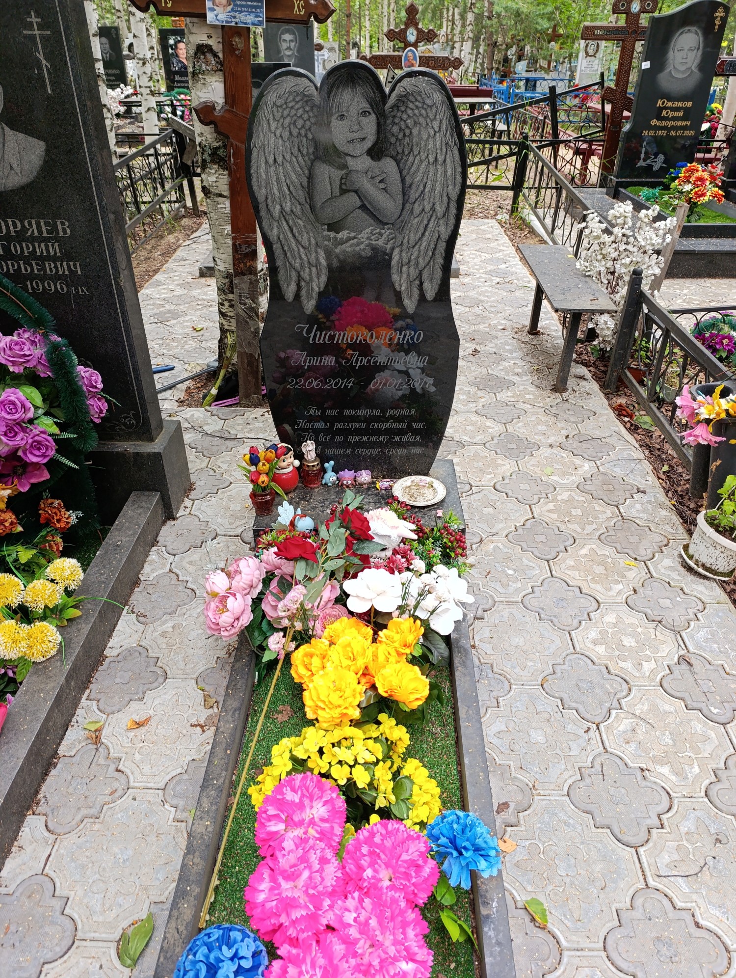 Чистоколенко Арина Арсентьевна