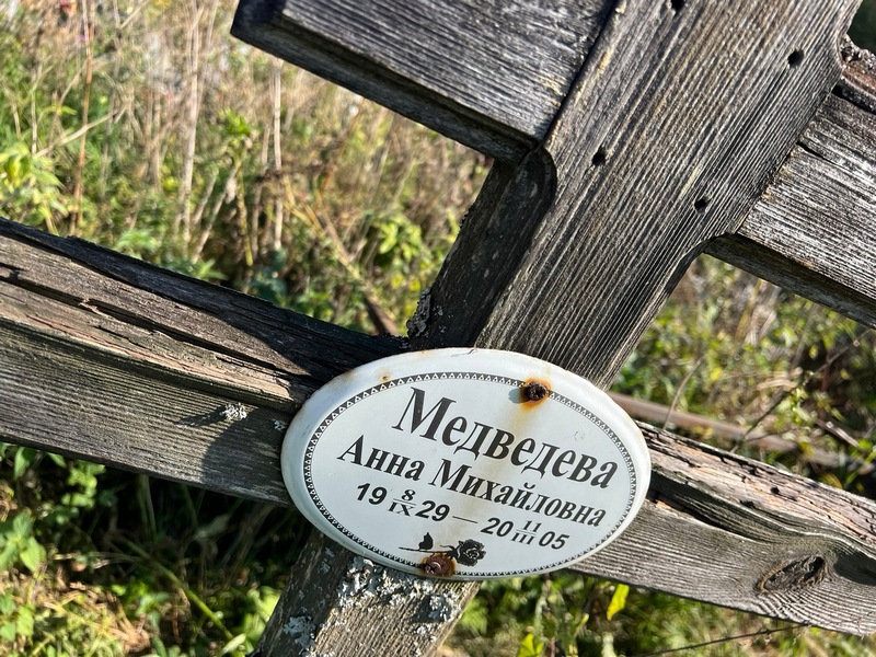 Медведева