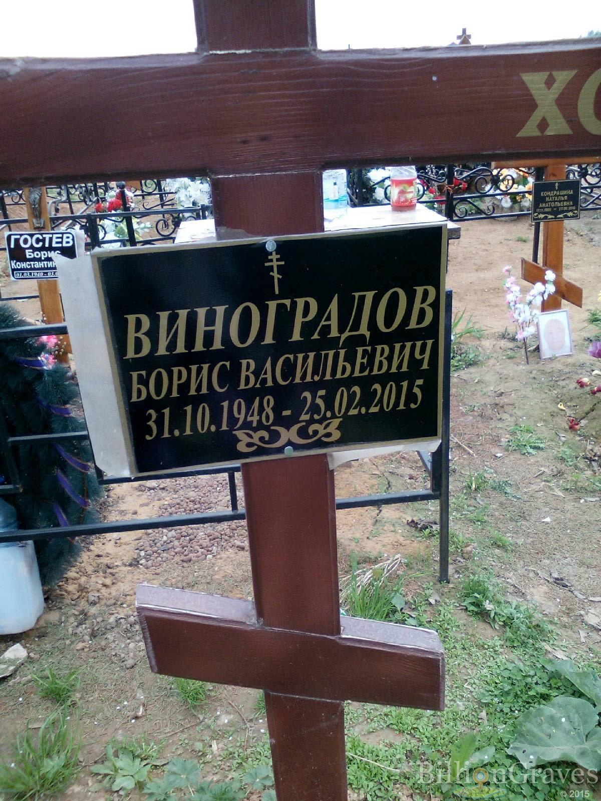виноградов борис васильевич