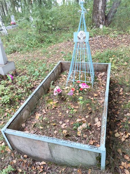 Сеногноева Елена Дмитриевна