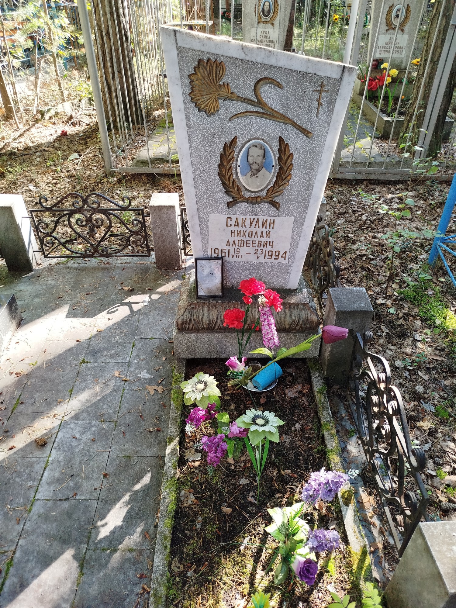 Сакулин Николай Алфеевич