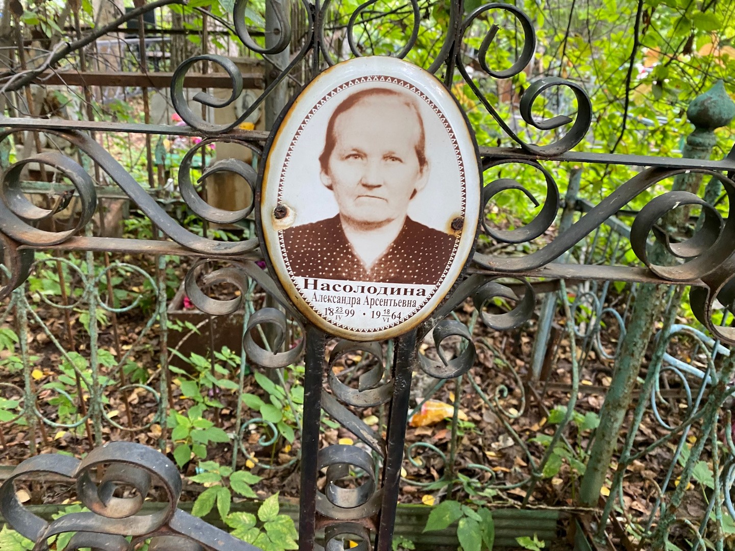 Насолодина Александра Арсентьевна