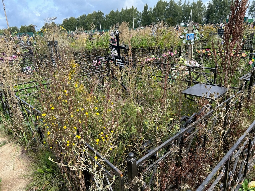 Кропачева Алевтина Михайловна