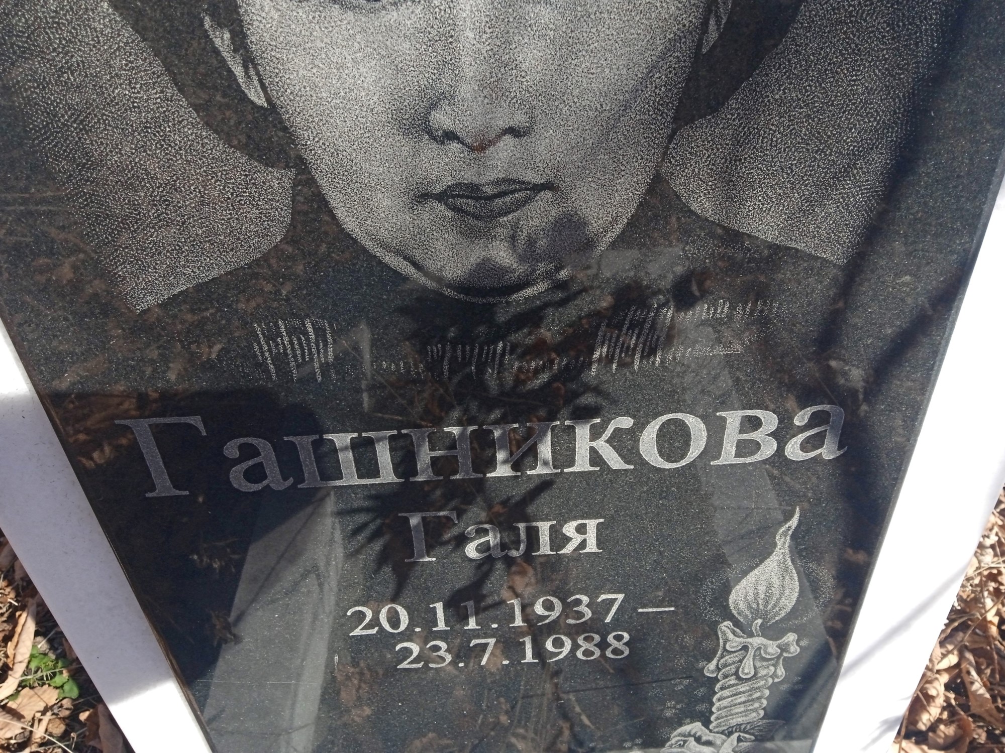 Гашникова Галя