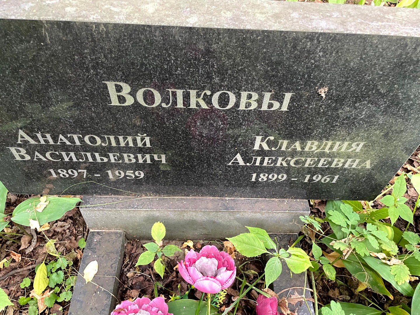 Волков