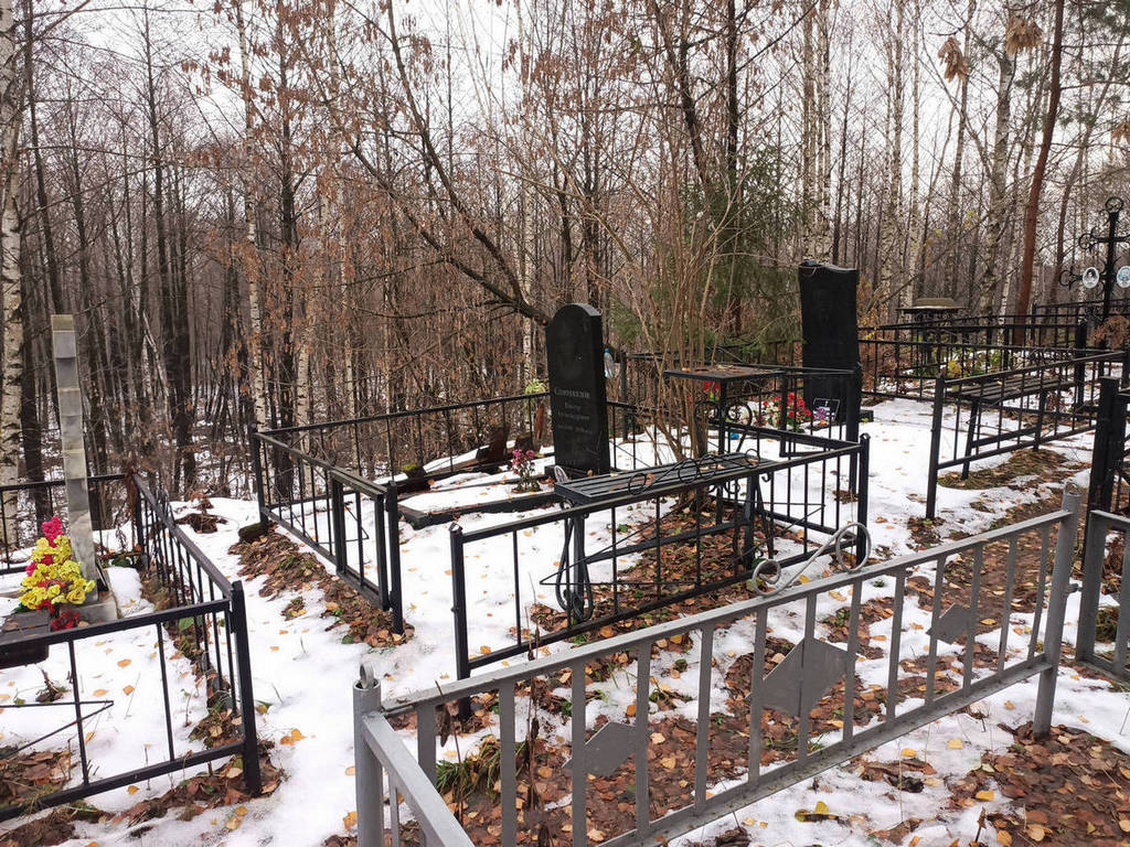 Самохвалов Виктор Александрович