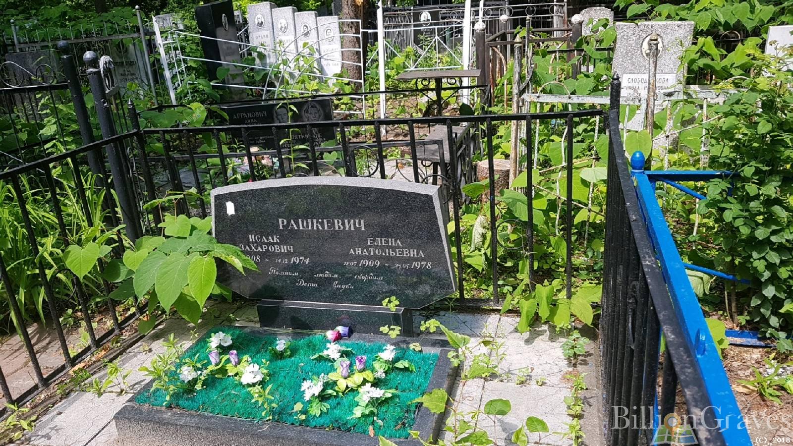 Рашкевич Елена Анатольевна