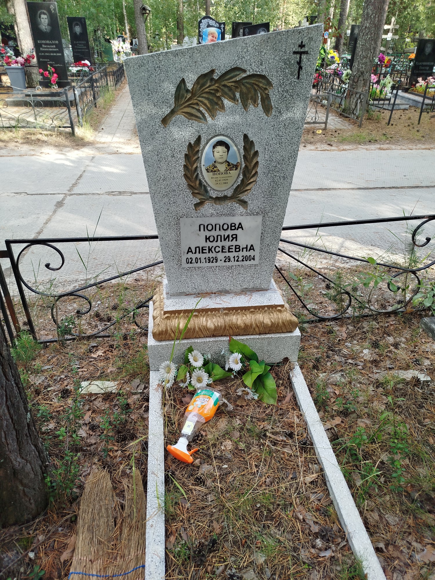 Попова Юлия Алексеевна