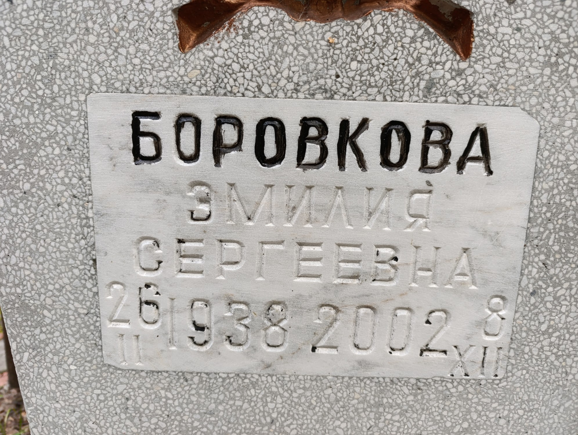 Боровкова Эмилия Сергеевна
