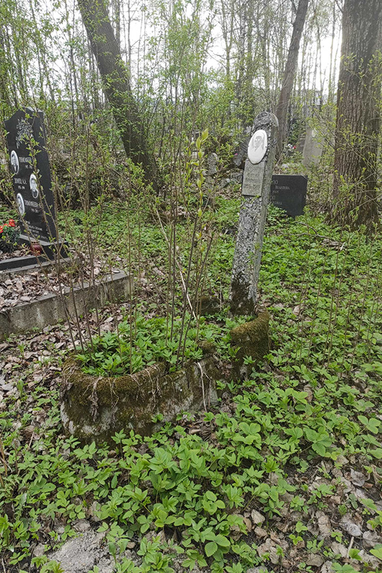 Михайлов Сергей Егорович