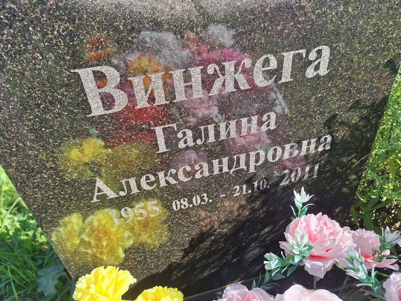 Винжега