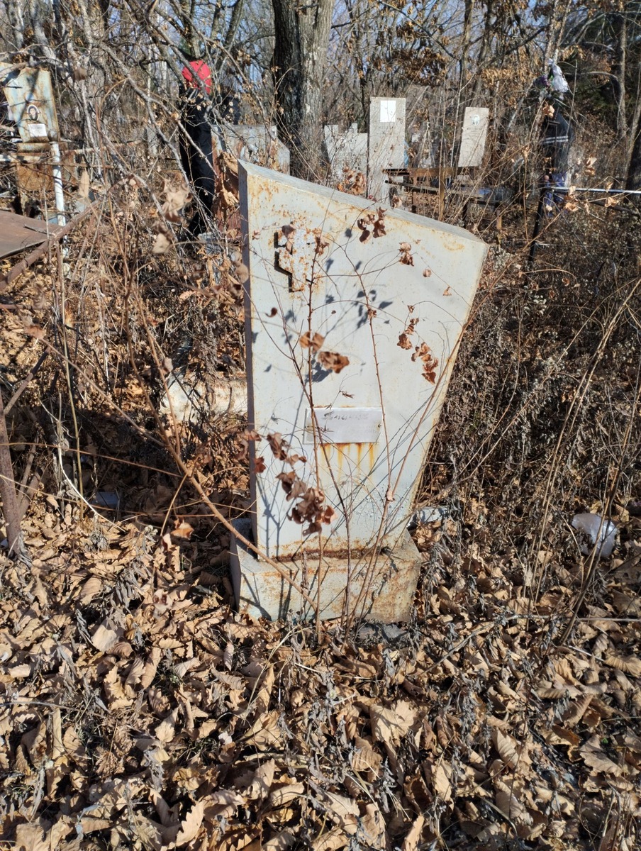 Гаманюк Ниталья Игнатьевна