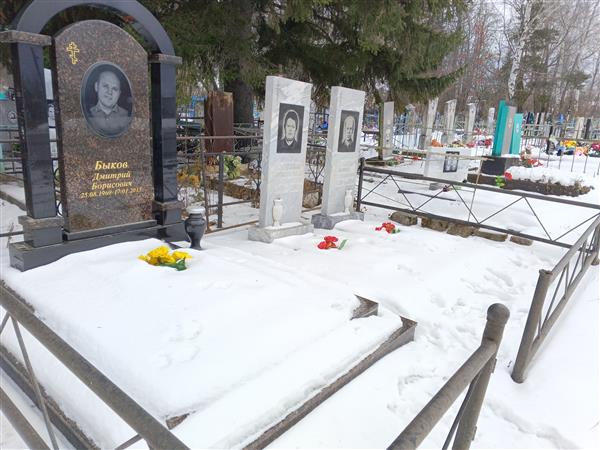 Быков Дмитрий Борисович