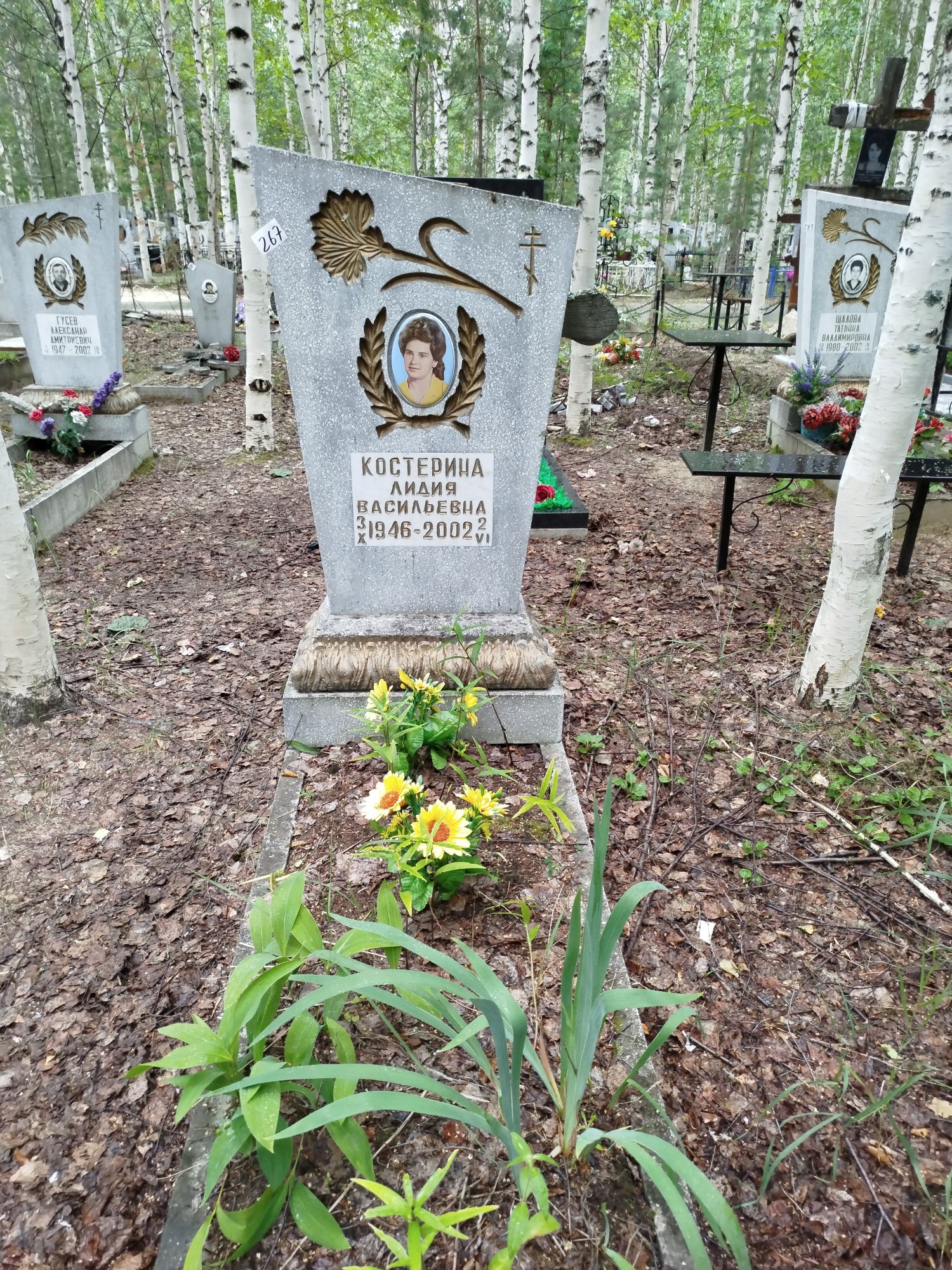 Костерина Лидия Васильевна