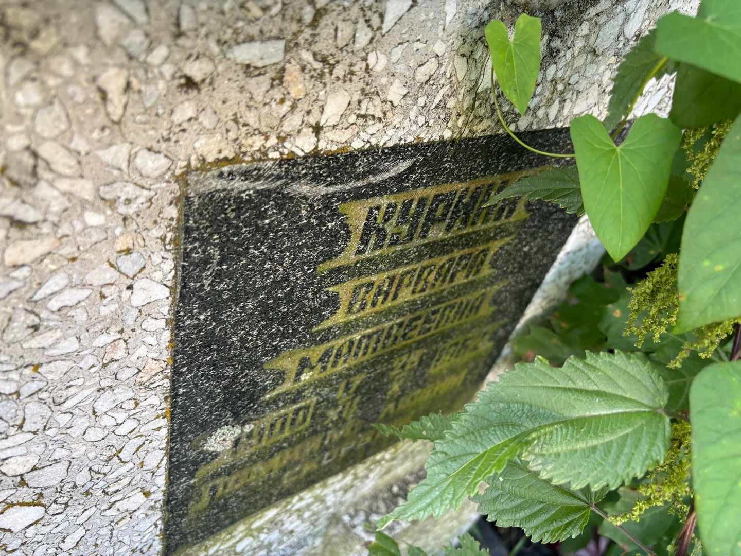 Курина Варвара Матвеевна