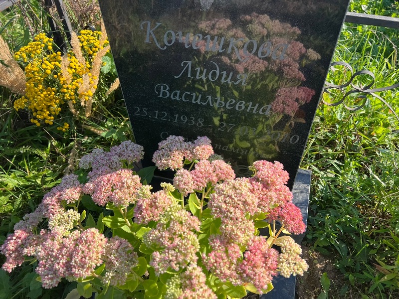 Кочешкова