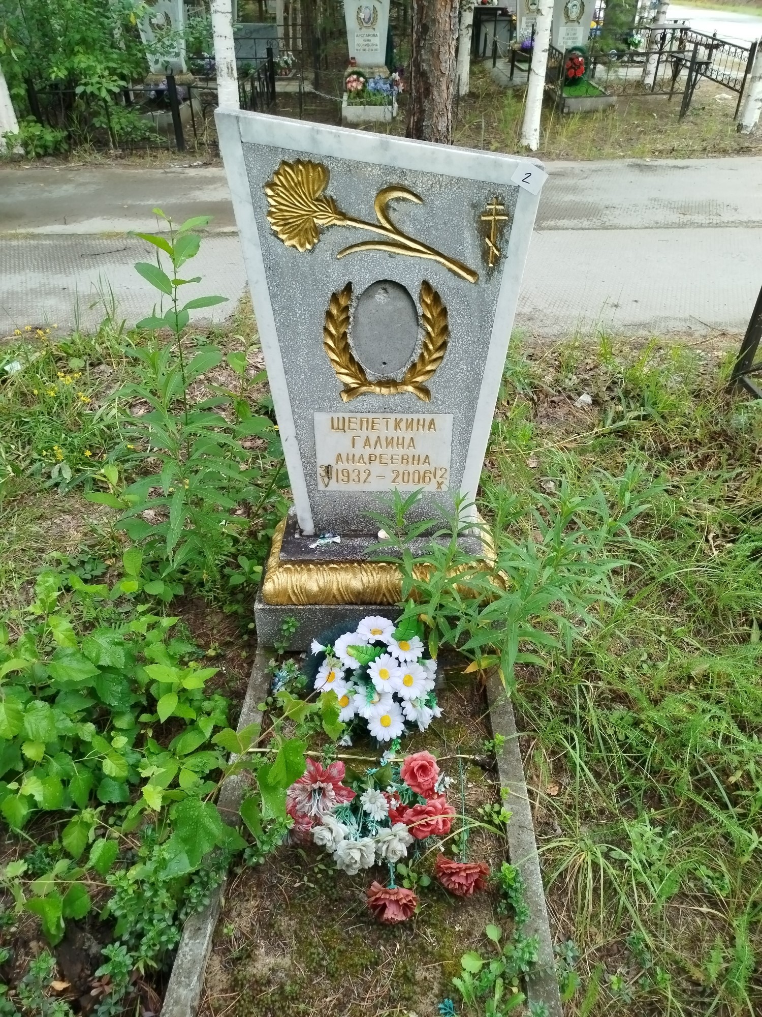 Щепеткина Галина Андреевна