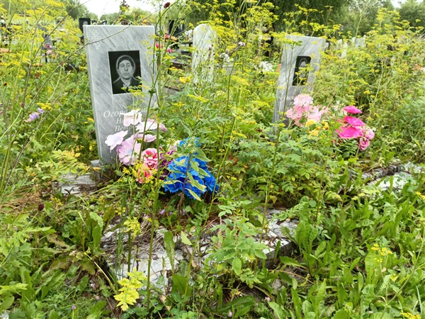 Овсянникова Надежда Алексеевна