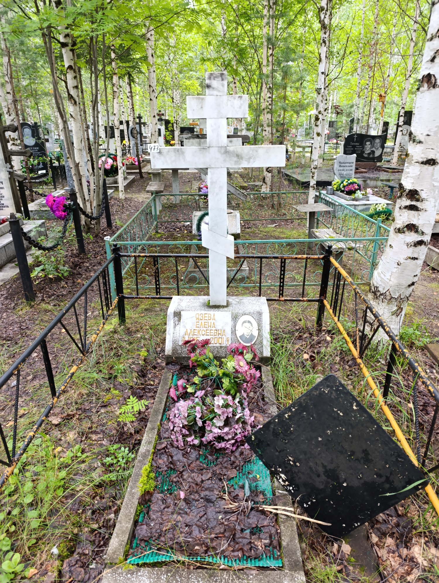 Язева Елена Алексеевна