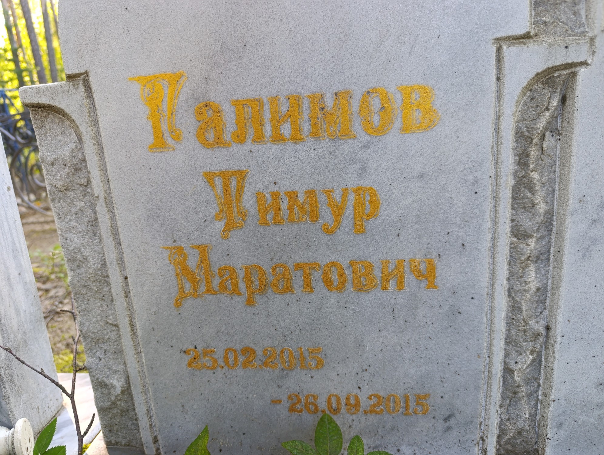 Галимов Тимур Маратович