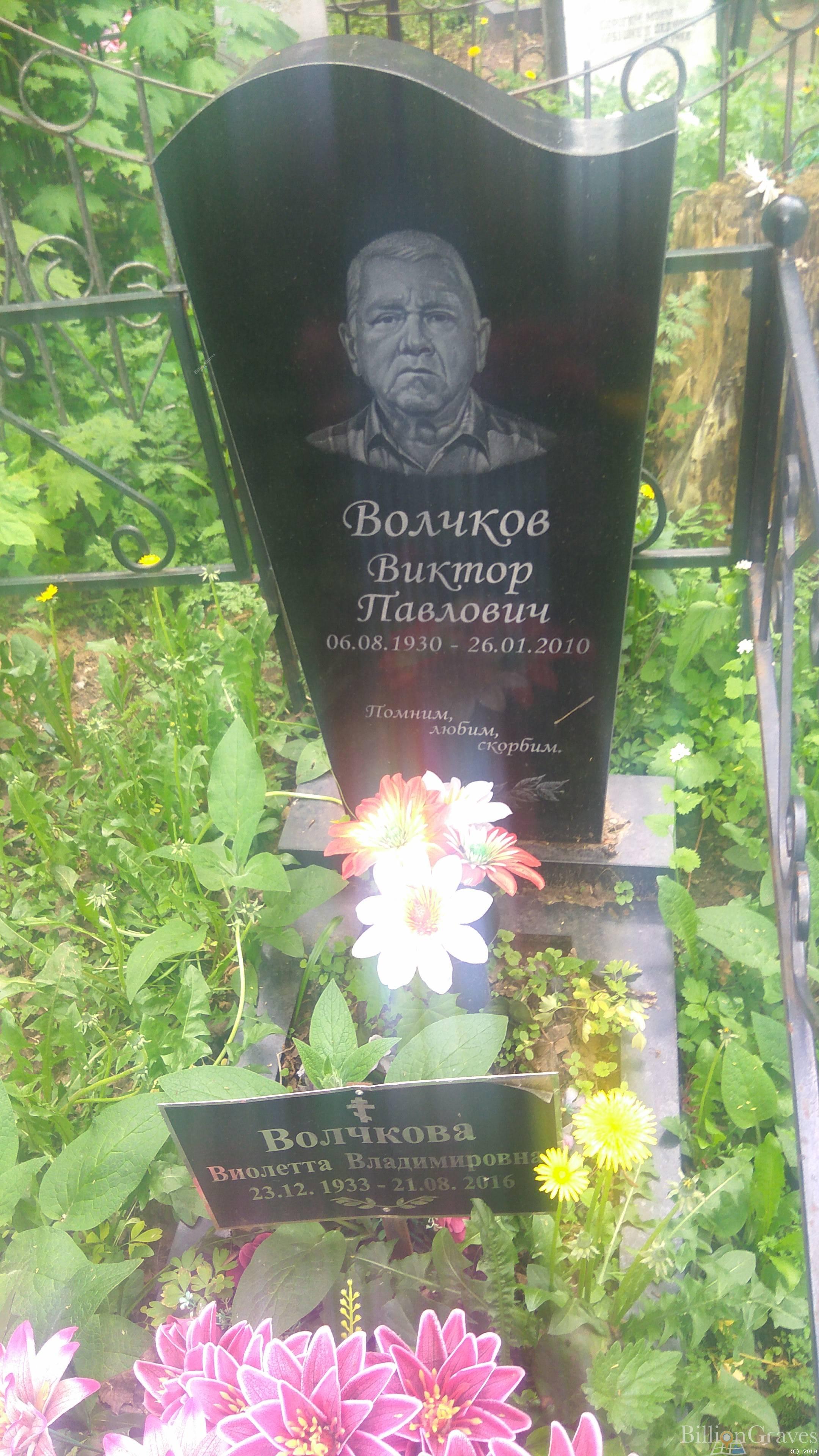 Волчкова Виолетта Владимировна