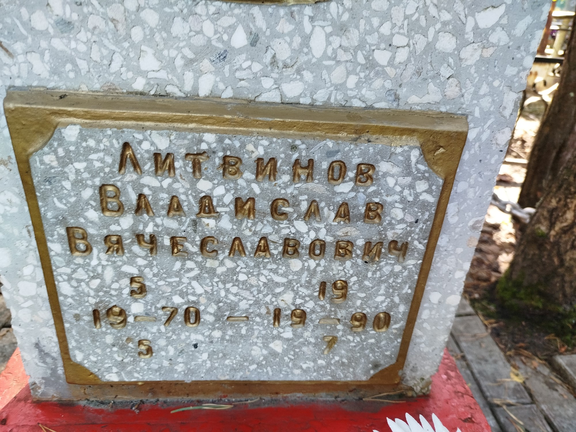 Литвинов Владислав Вячеславович