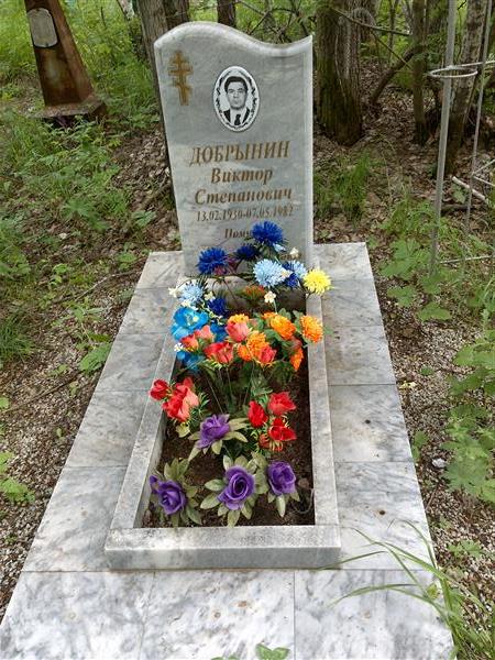 Добрынин Виктор Степанович